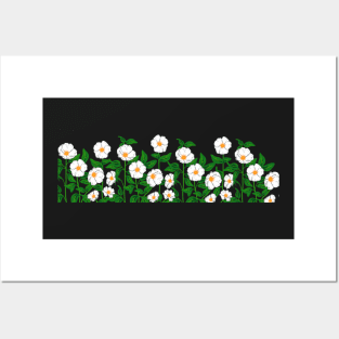 Cherokee Rose White Flowers Posters and Art